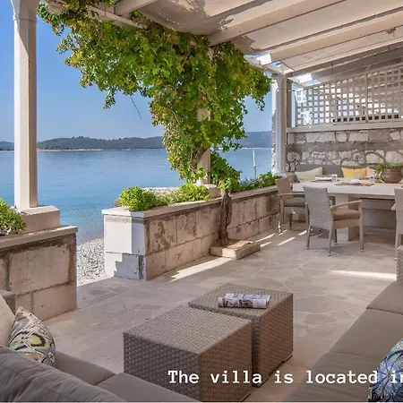 Tara's 4* Zrnovo