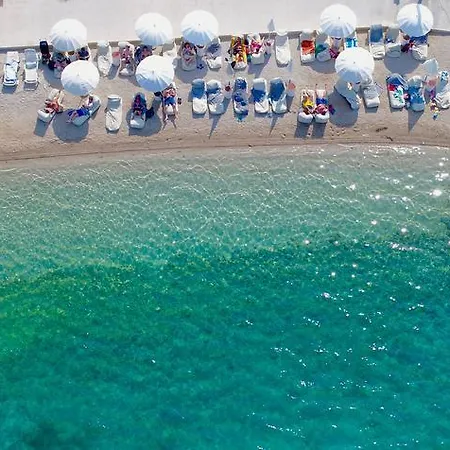 Tara's Отель Zrnovo