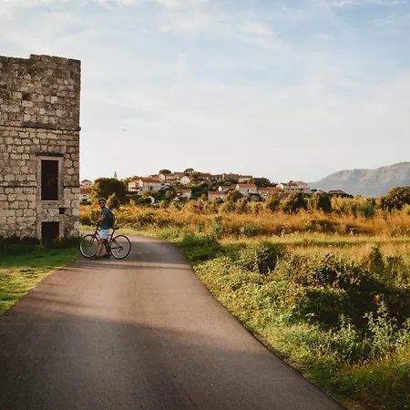 Отель Tara's Zrnovo