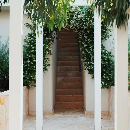 Tara's Отель Zrnovo